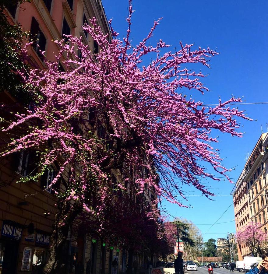 In Apartamento Roma